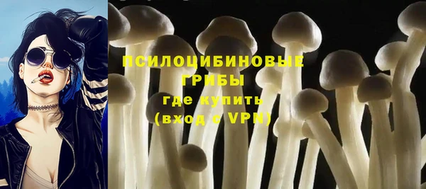 не бодяженный Алексин