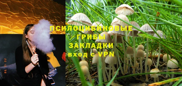 не бодяженный Алексин