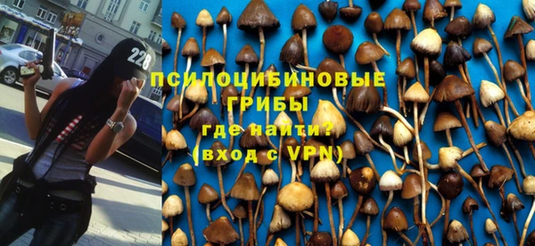 гидра Алексеевка