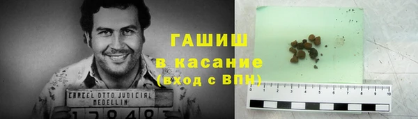 гидра Алексеевка