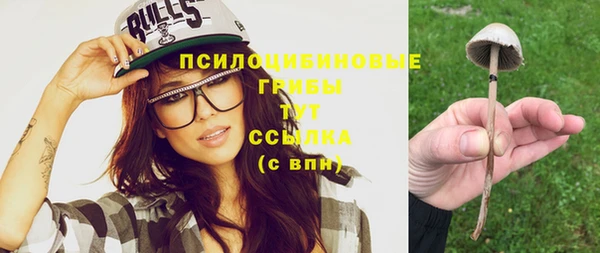 не бодяженный Алексин
