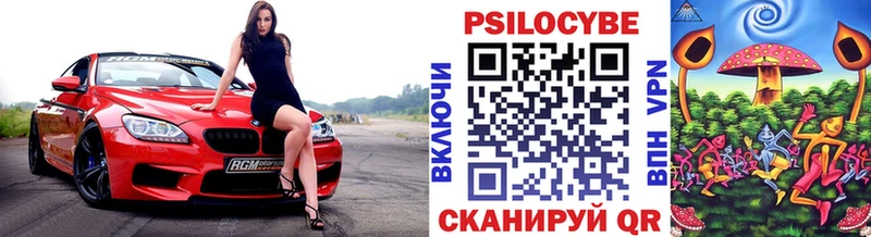 маркетплейс клад Клин Галлюциногенные грибы Psilocybine cubensis