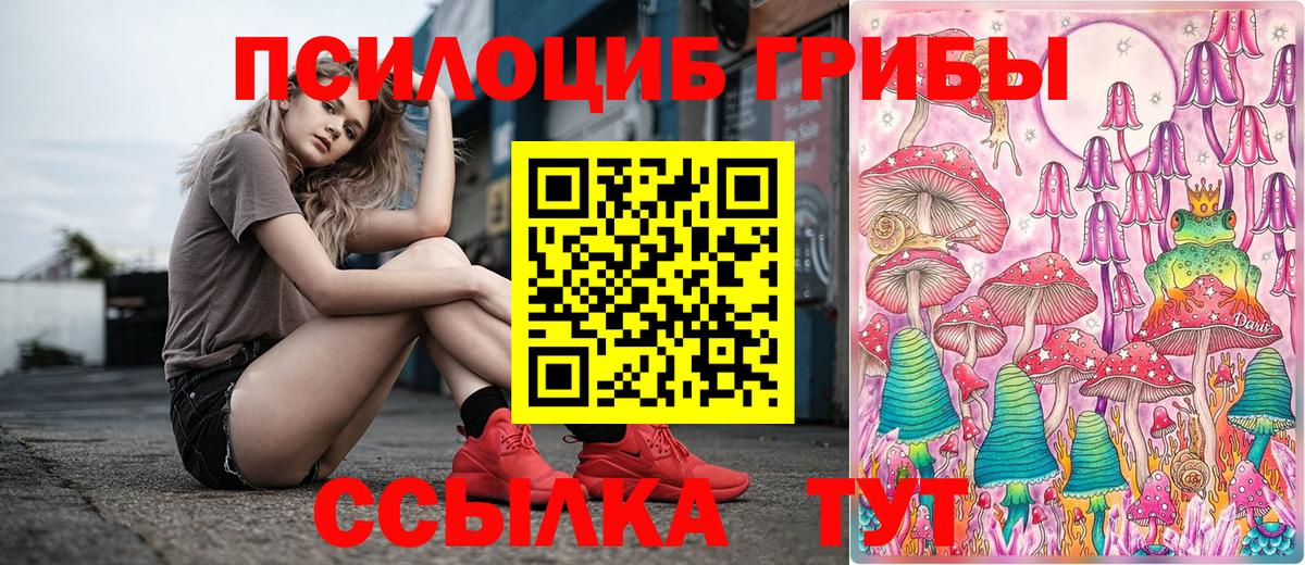 Клин  Псилоцибиновые грибы Psilocybine cubensis  Галлюциногенные грибы MAGIC MUSHROOMS  Вход с VPN 
