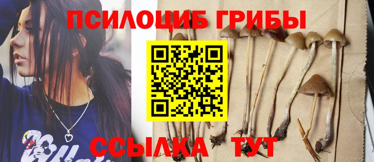 Псилоцибиновые грибы Psilocybine cubensis Клин